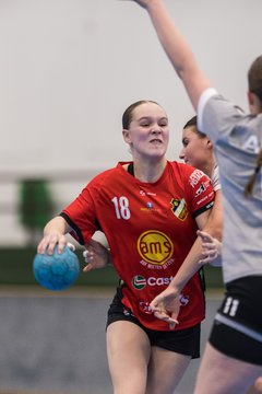 Bild 220 - wCJ TSV Ellerbek - AMTV Hamburg 2 : Ergebnis: 25:20